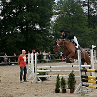 201406140952-den-koni-47.jpg