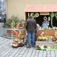 vitani-jara-201103299.jpg