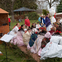 vitani-jara-2010032729.jpg