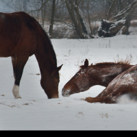 zima_2011-12_010.jpg
